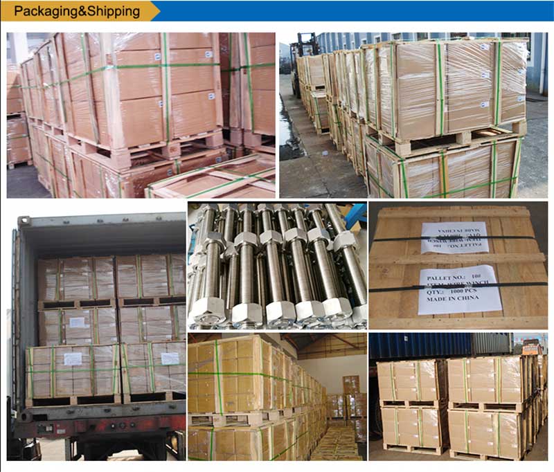 Roestvrij staal-List-Bouten-Screw-Fastener-packing